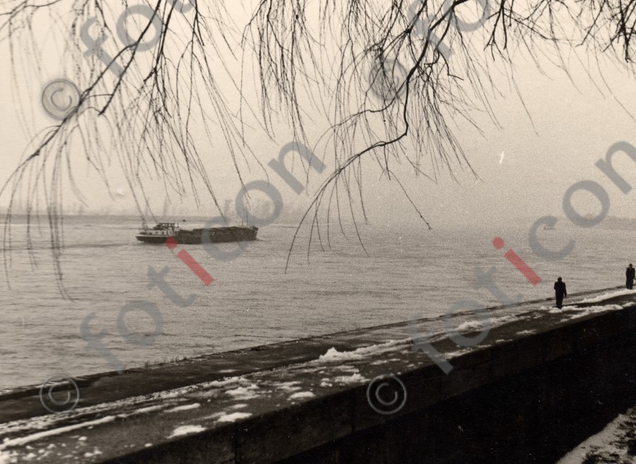 Rheinpark (foticon-duesseldorf-0018.jpg)